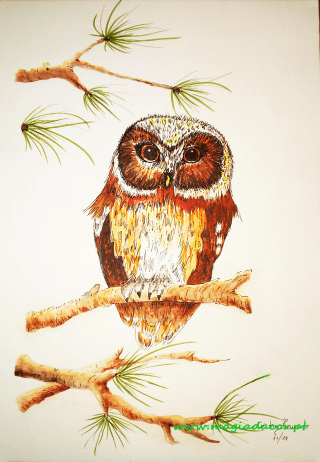 Watercolor - Owl
