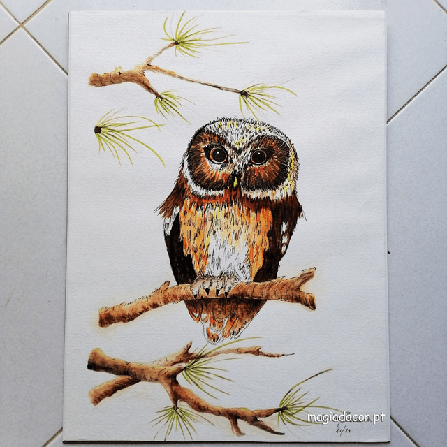 Watercolor - Owl