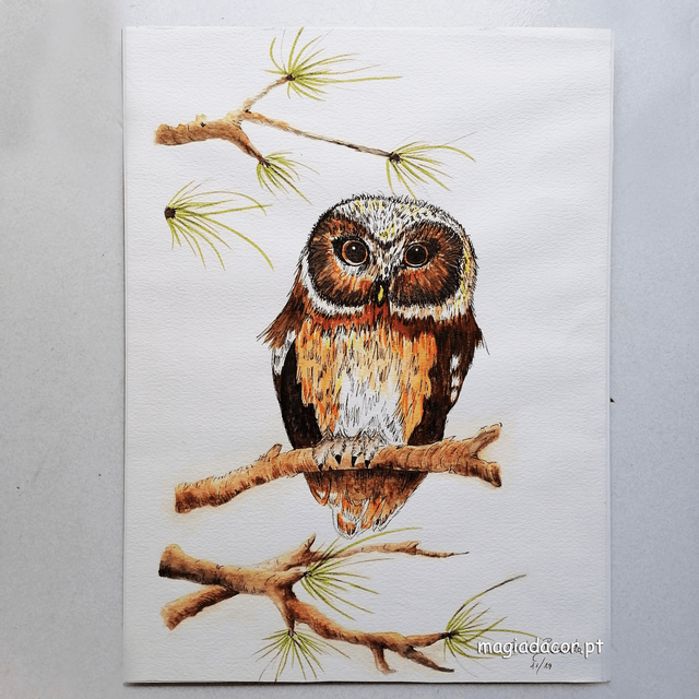Watercolor - Owl